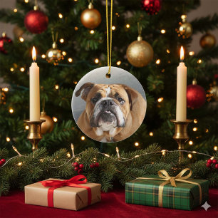 Bulldog-Gesicht - English Bulldog, Brown Keramik Ornament
