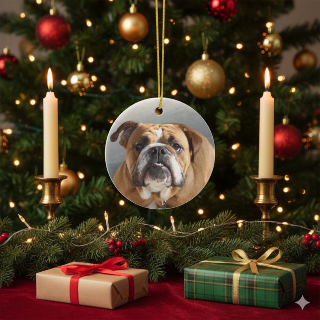 Bulldog-Gesicht - English Bulldog, Brown Keramik Ornament (Von Creator hochgeladen)
