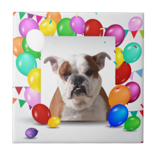 Bulldog Hund mit bunten Balloons Geburtstag Thema Fliese