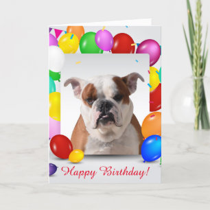 Bulldog Hund mit bunten Balloons Geburtstag Thema Karte