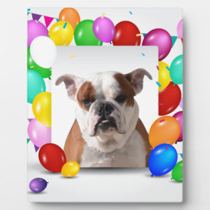 Bulldog Hund mit farbenfrohen Luftballons Geburtst Fotoplatte