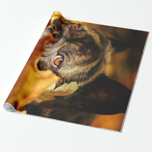 Bulldog Hund Niedlich English Bulldog Lover Gesche Geschenkpapier