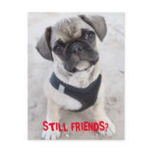 Bulldog-Hündchen sieht niedlich aus