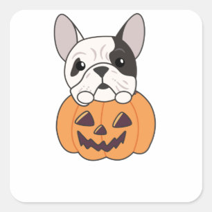 Bulldog in Pumpkin Niedliche Hunde glücklich Hallo Quadratischer Aufkleber