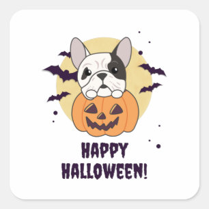 Bulldog in Pumpkin Niedliche Hunde glücklich Hallo Quadratischer Aufkleber
