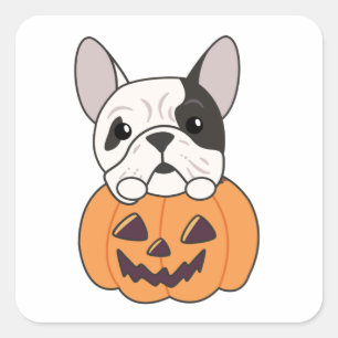 Bulldog in Pumpkin Niedliche Hunde glücklichen Hal Quadratischer Aufkleber