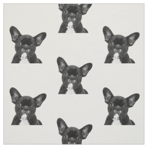 Bulldog in Schwarz und Weiß Stoff