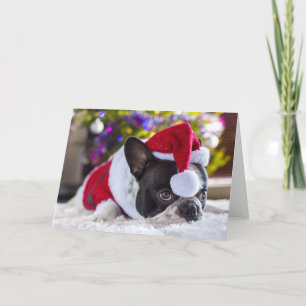 Bulldog in Weihnachtsmannmütze unter Weihnachtsbau Feiertagskarte