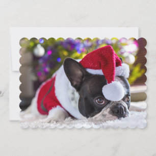 Bulldog in Weihnachtsmannmütze unter Weihnachtsbau Feiertagskarte