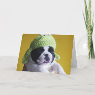 Bulldog Karte