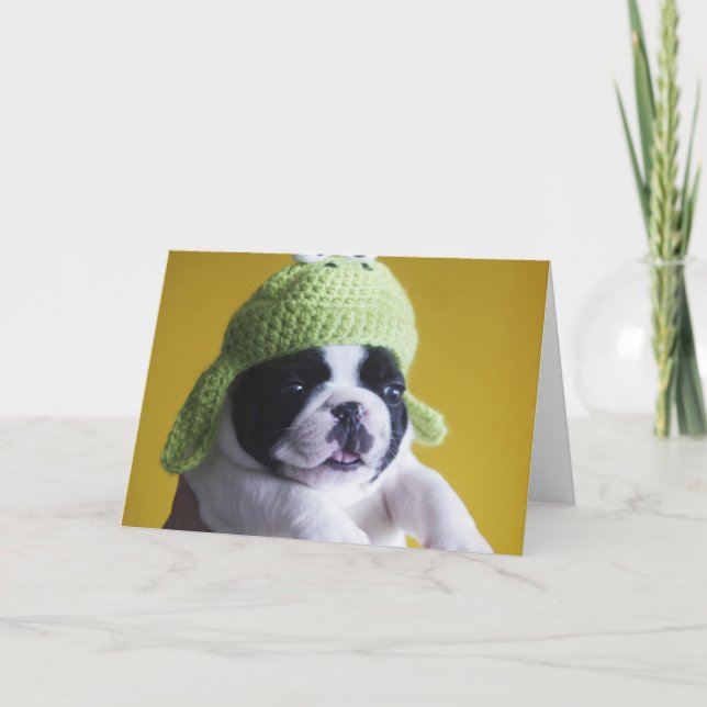 Bulldog Karte (Vorderseite)