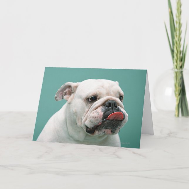 Bulldog Karte (Vorderseite)