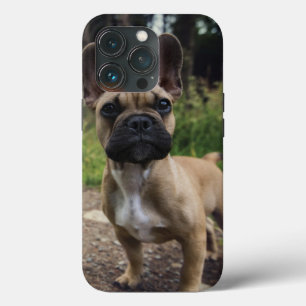 Bulldog-Kissen Case-Mate iPhone Hülle