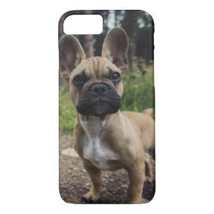 Bulldog-Kissen Case-Mate iPhone Hülle