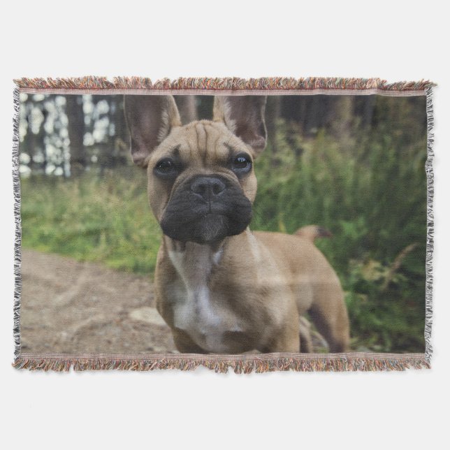 Bulldog-Kissen Decke (Vorderseite)