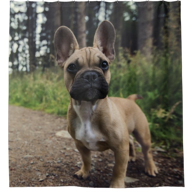 Bulldog-Kissen Duschvorhang (Vorderseite)
