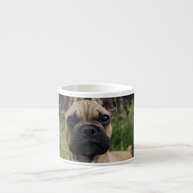 Bulldog-Kissen Espressotasse (Vorderseite)