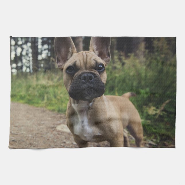 Bulldog-Kissen Geschirrtuch (Horizontal)