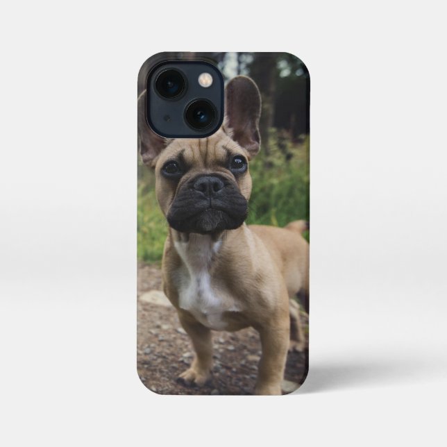 Bulldog-Kissen iPhone Hülle (Rückseite)