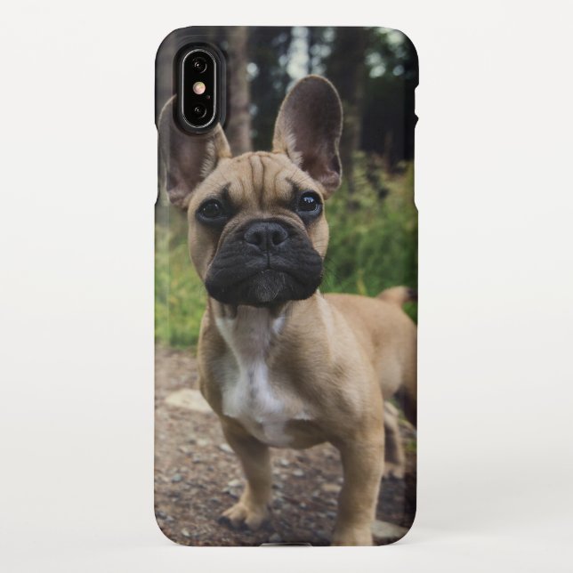 Bulldog-Kissen iPhone Hülle (Rückseite)