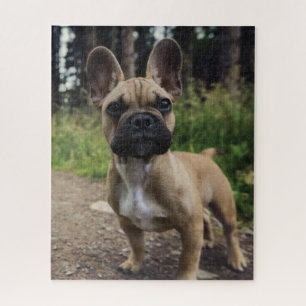 Bulldog-Kissen Puzzle