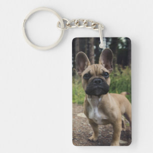 Bulldog-Kissen Schlüsselanhänger
