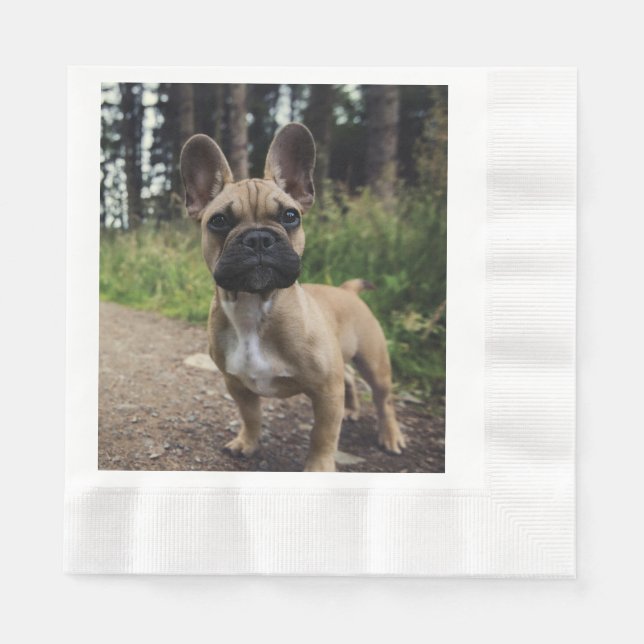 Bulldog-Kissen Serviette (Vorderseite)