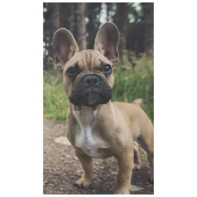 Bulldog-Kissen Tischdecke (Vorderseite)