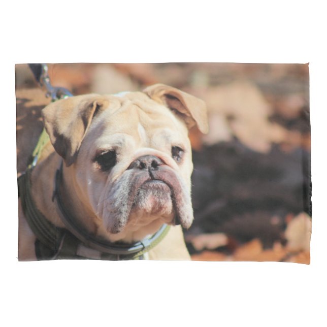 Bulldog Kissenbezug (Vorderseite)