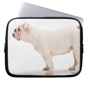 Bulldog Laptopschutzhülle