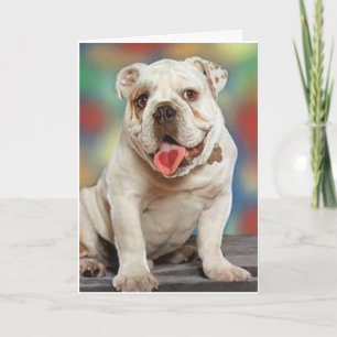 Bulldog Liebe Karte