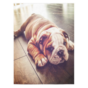 Bulldog Lying Dog Hundefutter Tischdecke