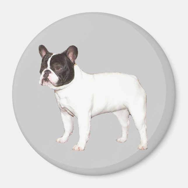 Bulldog Magnet (Vorne)