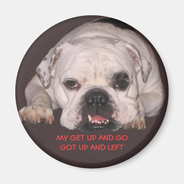 Bulldog Magnet (Vorne)