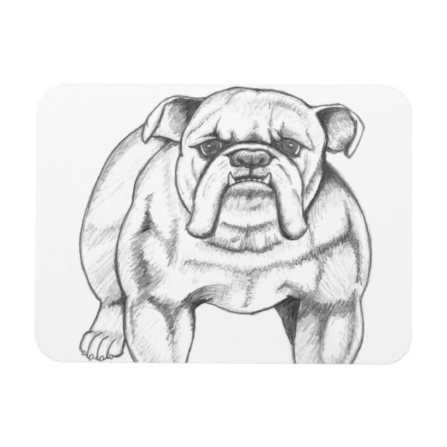 Bulldog-Magnet Magnet (Horizontal)