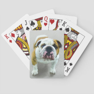 Bulldog-Malerei - Niedliche Original-Hunde-Kunst Spielkarten
