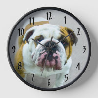 Bulldog-Malerei - Niedliche Original Hunde-Kunst