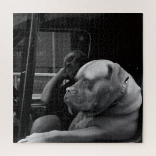 Bulldog Mastiff hinter dem Steuer Schwarz & Weiß Puzzle