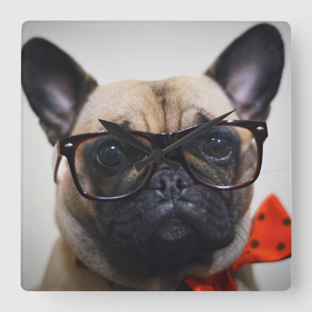 Bulldog mit Brille und Bow-Krawatte Quadratische Wanduhr (Vorderseite)