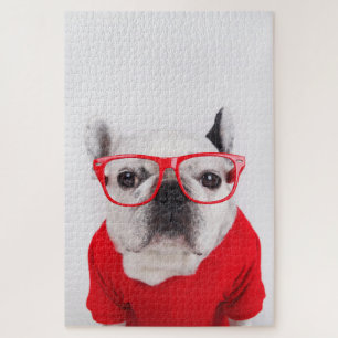 Bulldog mit Brille und Shirt Puzzle