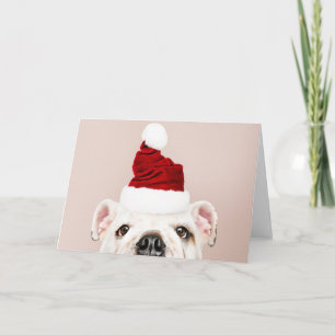 BULLDOG MIT EINER Weihnachtsmannmütze GREETKARTE Karte