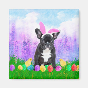 Bulldog mit Ostereiern Bunny Chicks Magnet
