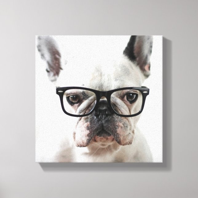 Bulldog mit schwarzer Brille Leinwanddruck (Vorderseite)