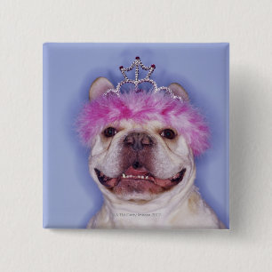 Bulldog mit Tiara Button