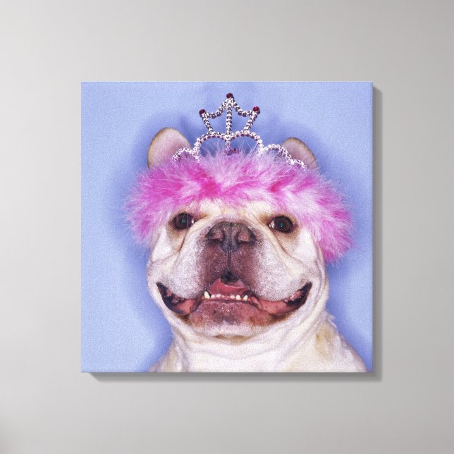 Bulldog mit Tiara Leinwanddruck (Vorderseite)