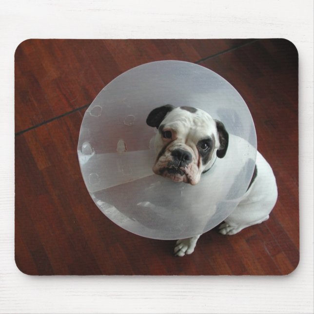 Bulldog Mousepad (Vorne)