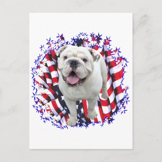 Bulldog Patriot Postkarte (Vorderseite)