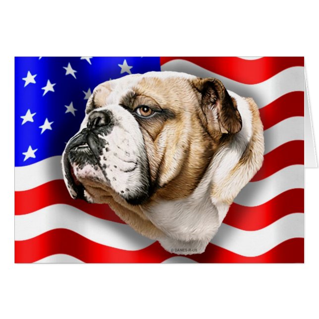 Bulldog Patriot US-Flagge (Vorderseite (Horizontal))