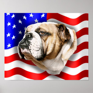 Bulldog Patriot US-Flagge Poster