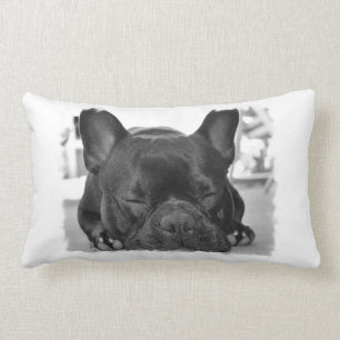 Bulldog-Pillow Lendenkissen